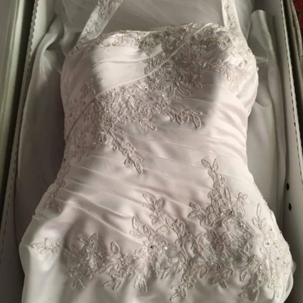 Wedding dress and veil